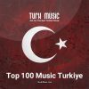 دانلود آهنگ های معروف ترکی استانبولی